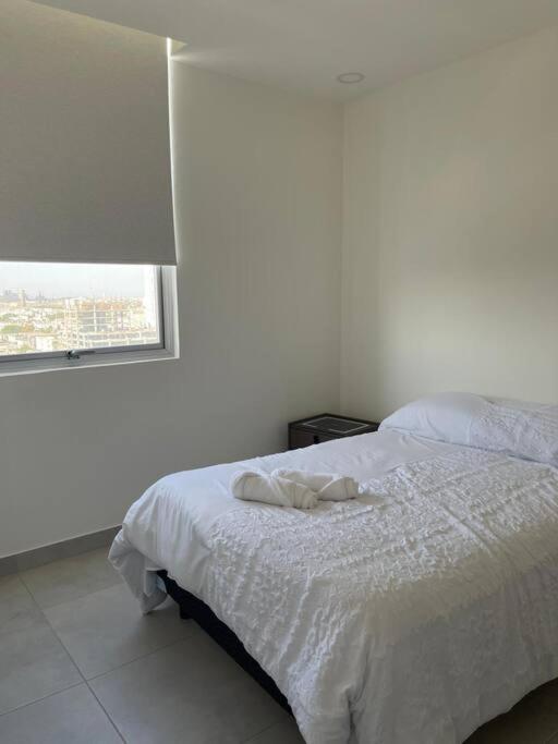 Apartmán Estilo Y Comodidad En Monterrey Exteriér fotografie